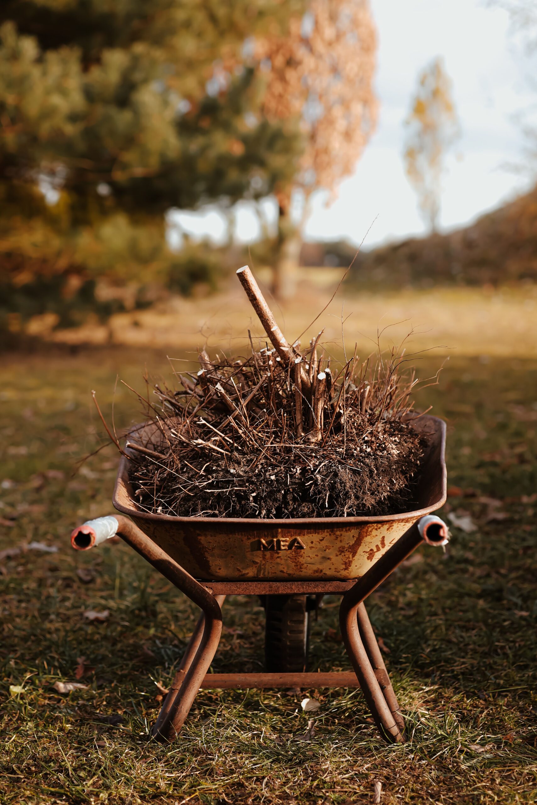 Old rusty wheelbarrow filled with sticks in a scenic autumn field.